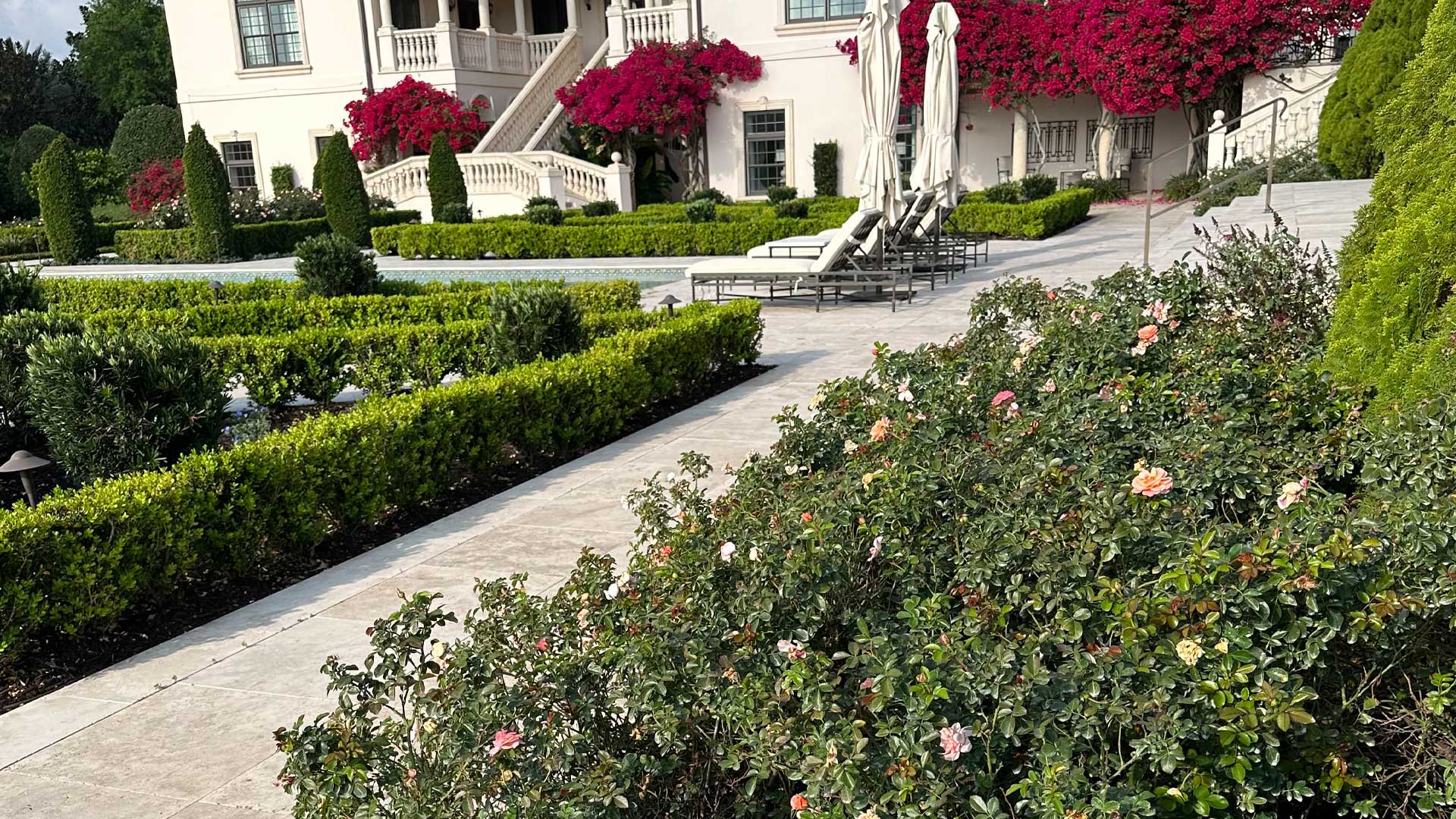 Custom landscaping around a beautiful pool that includes shrubs, plants, and flowers.