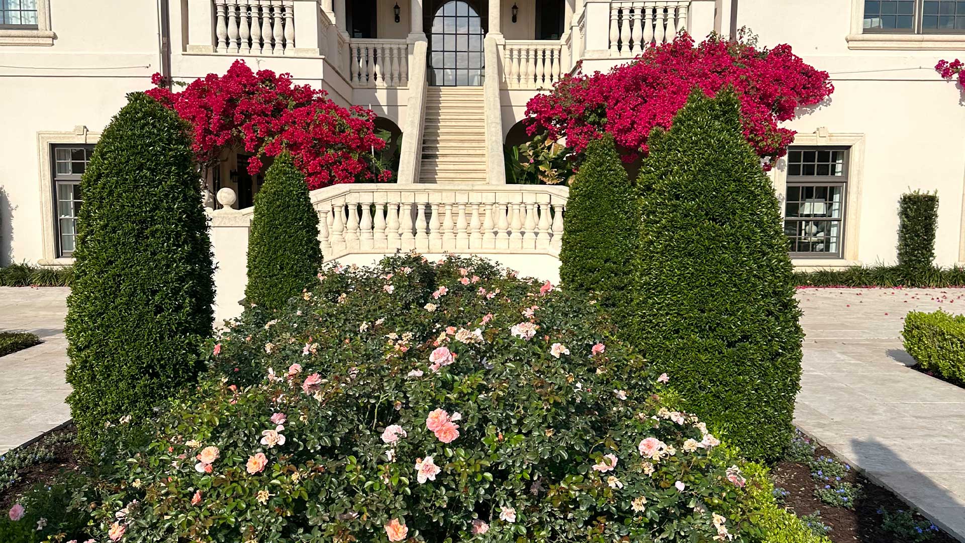 Bougainvillea, trimmed shrubs, and mature housing in front of a home in Highland City, FL.